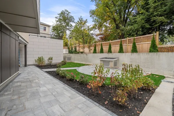 a view of garden with plants
