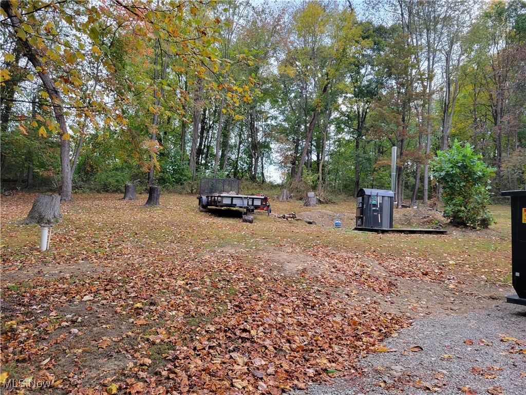 90361 Kilgore Ridge Road Scio, OH 43988 - Photo 8 of 34 View of yard with woodburner