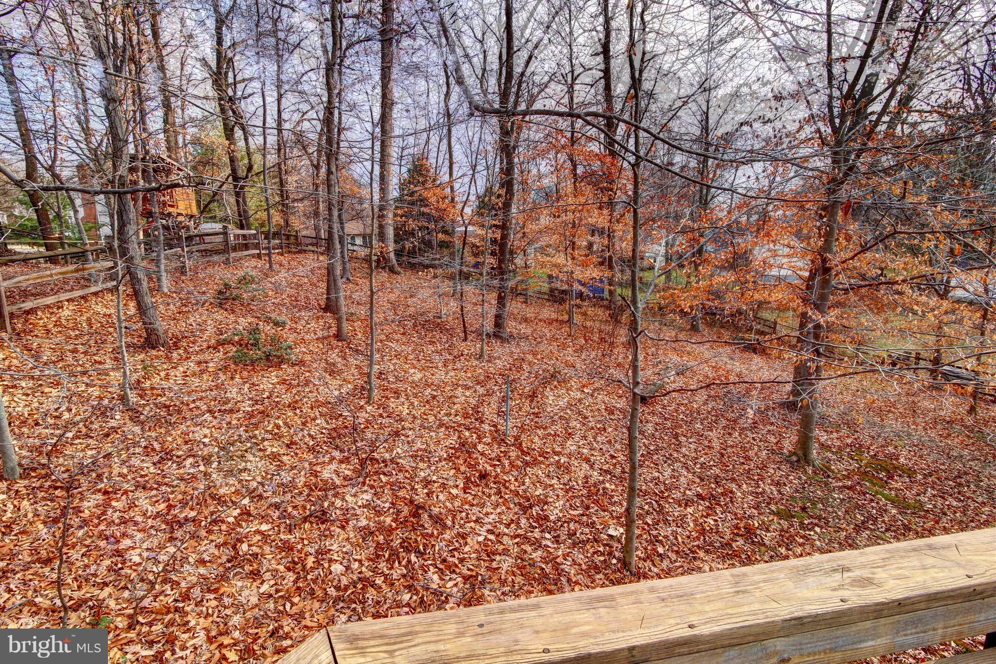1719 Brookshire Run Point of Rocks, MD 21777 - Photo 18 of 18 View