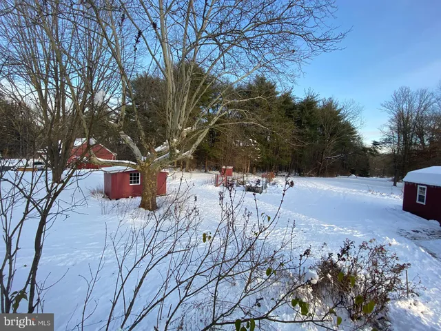 a view of backyard with green space