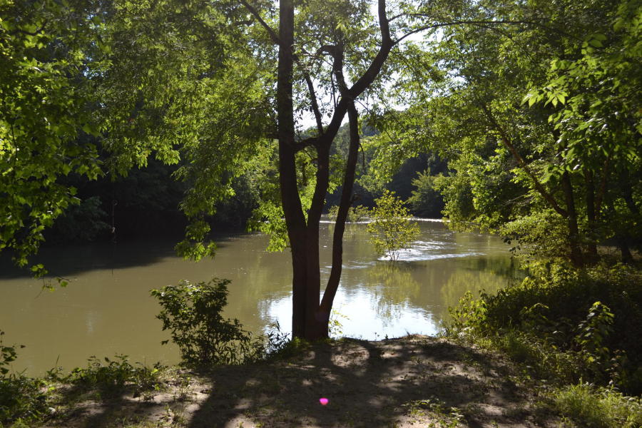 2350 Ketner Mill Road Whitwell, TN 37397 - Photo 14 of 33 Riverfront (2)