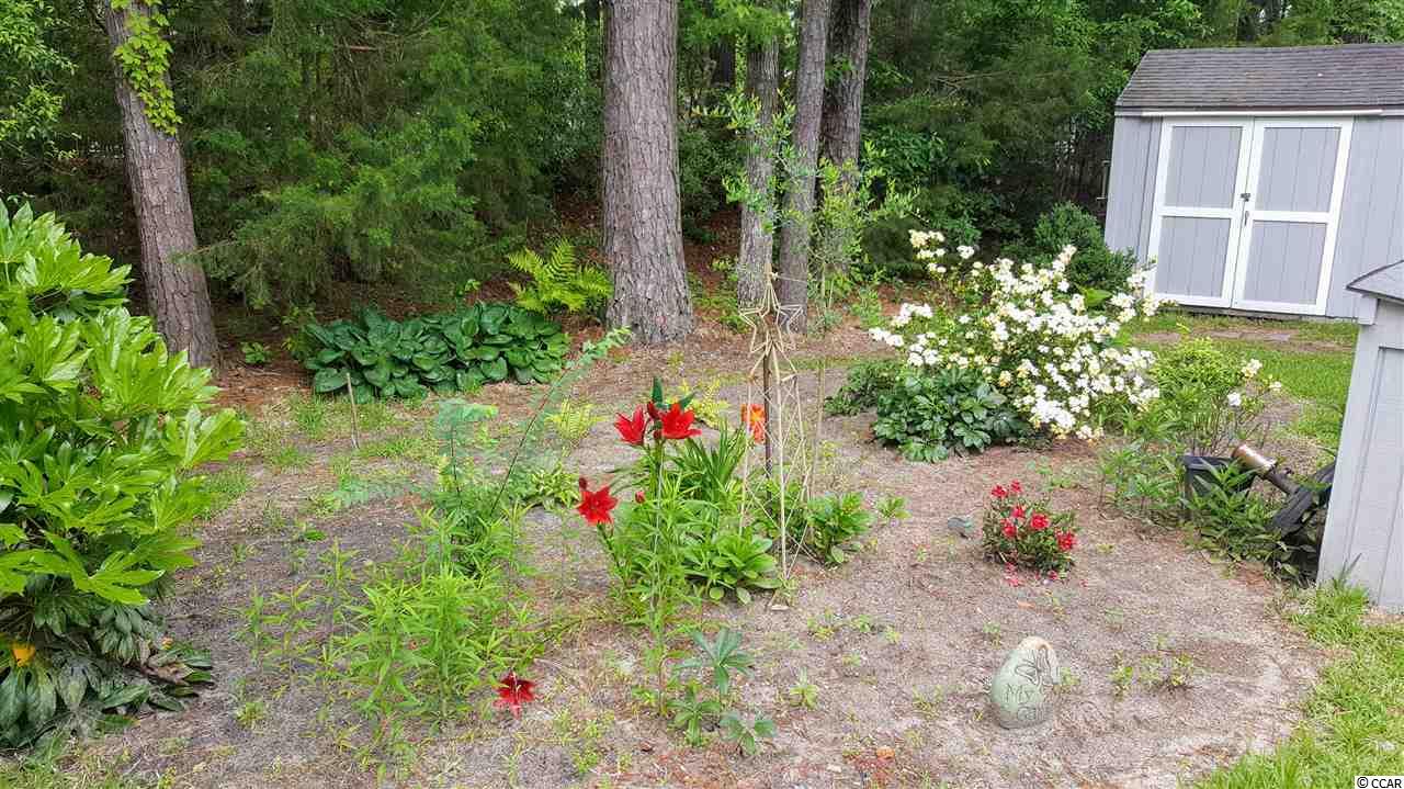 731 Raleigh Trail Murrells Inlet, SC 29576 - Photo 27 of 33