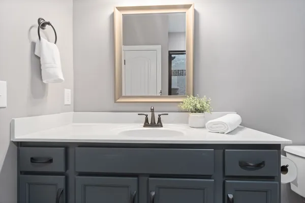 a bathroom with a sink and a mirror