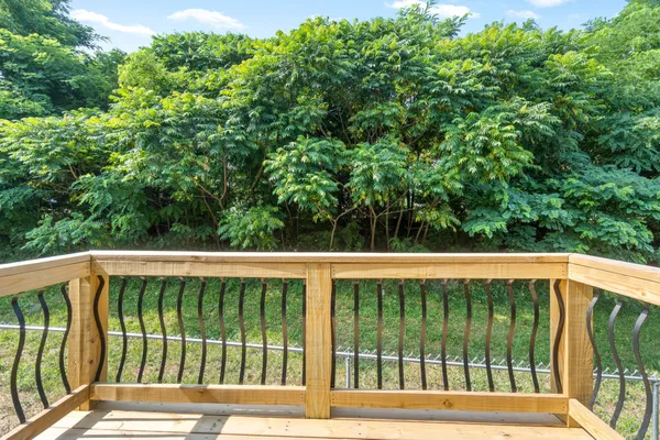a view of a small yard with a large tree