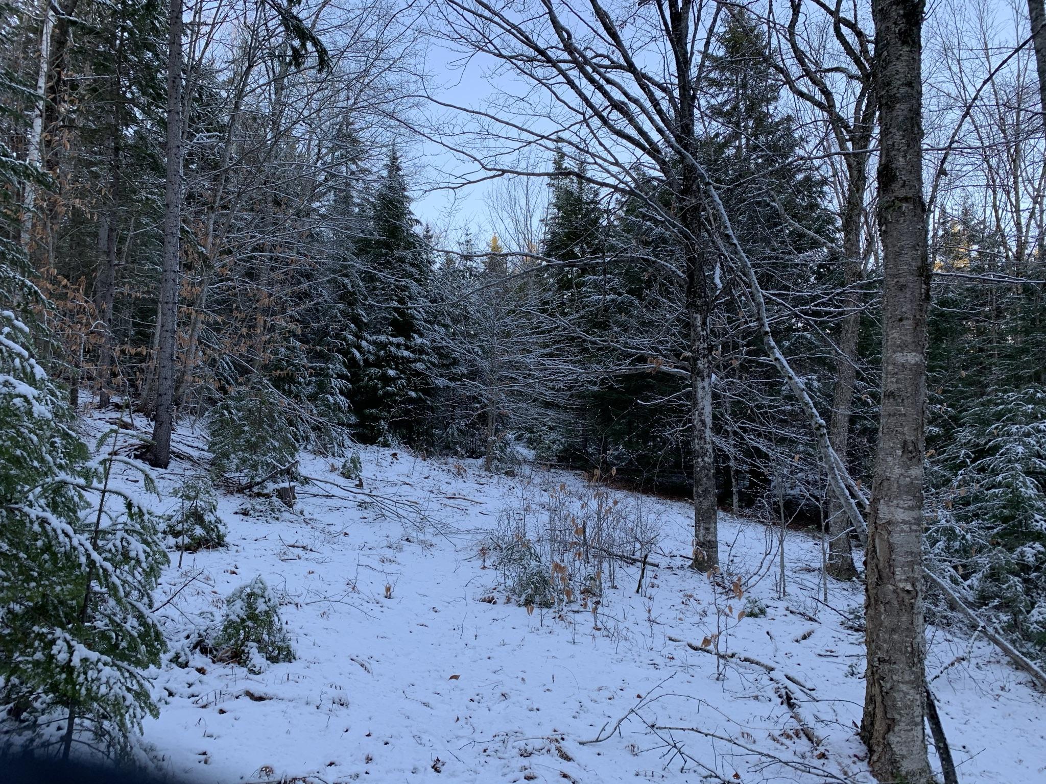 0 Town Hall Road Edgecomb, ME 04556 - Photo 13 of 15 IMG_0536
