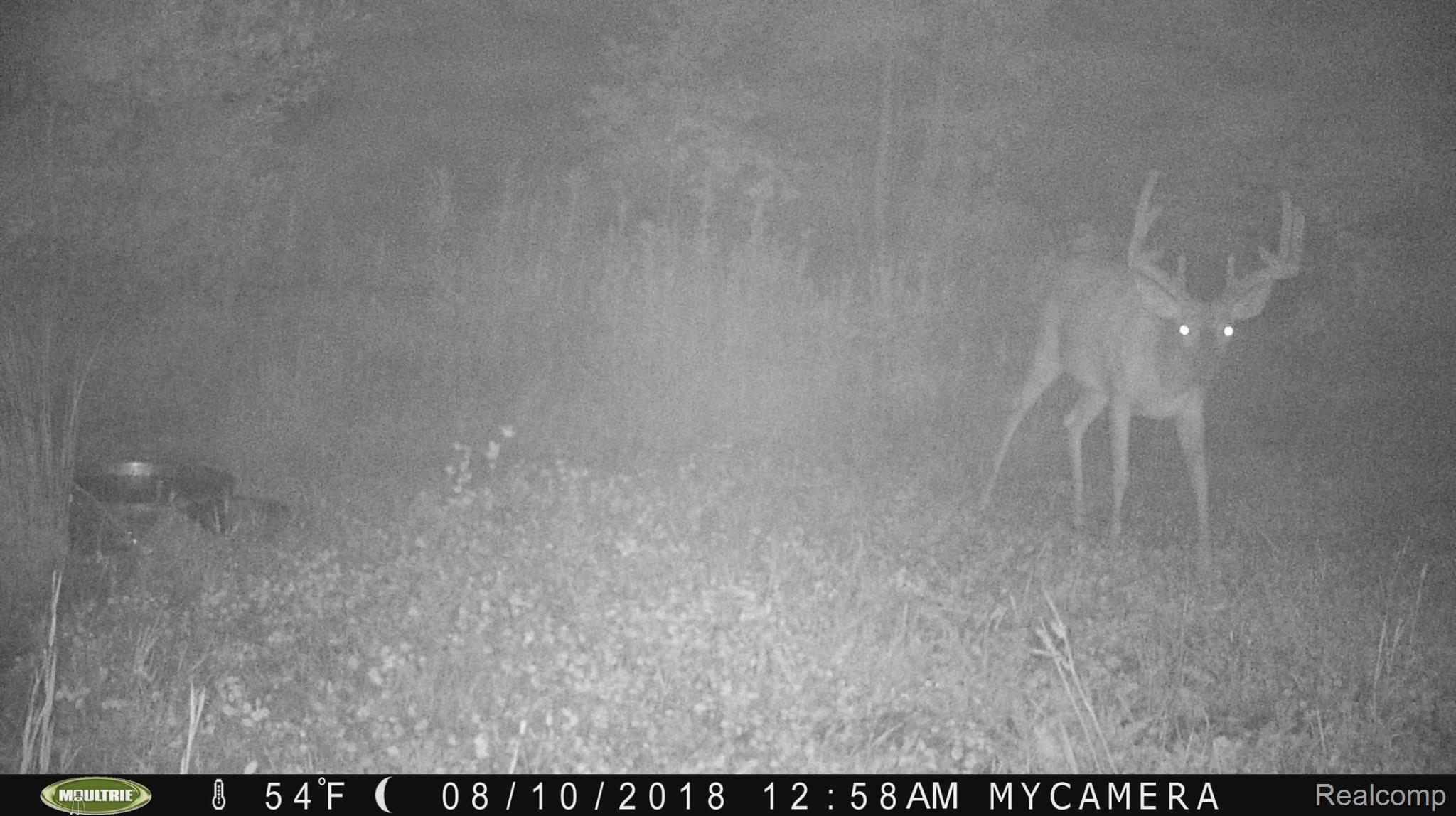 8311 North Jennings Road Mount Morris, MI 48458 - Photo 44 of 45 buck at night.jpg