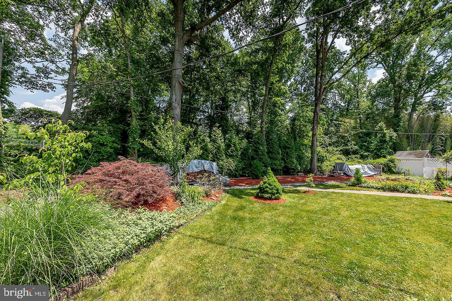 106 Haines Road Mount Laurel, NJ 08054 - Photo 25 of 27 Back yard