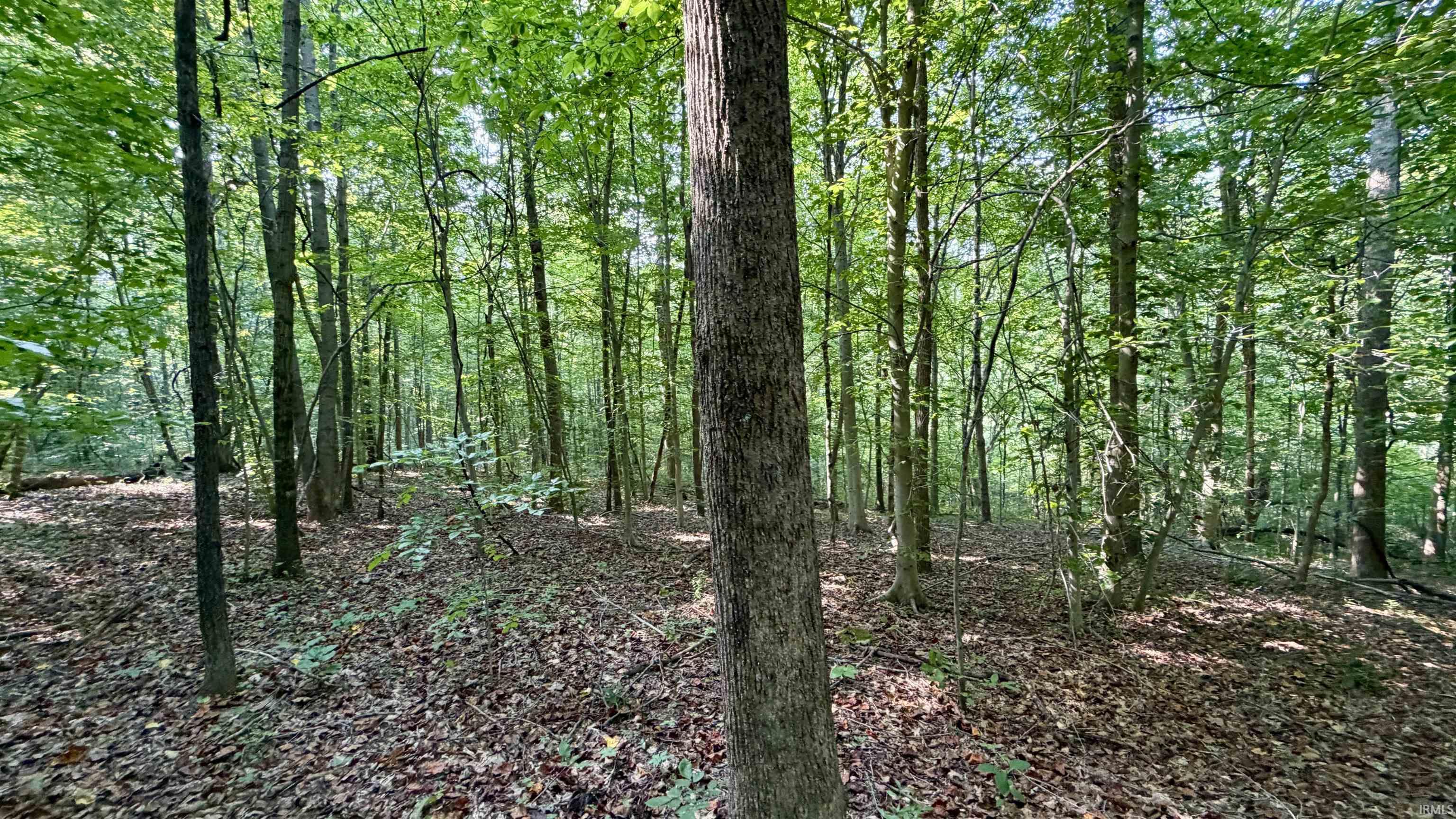 2825 Popcorn Road Springville, IN 47462 - Photo 21 of 32 Gallery Image 21