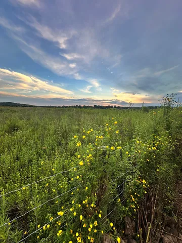 a view of yard with outdoor space