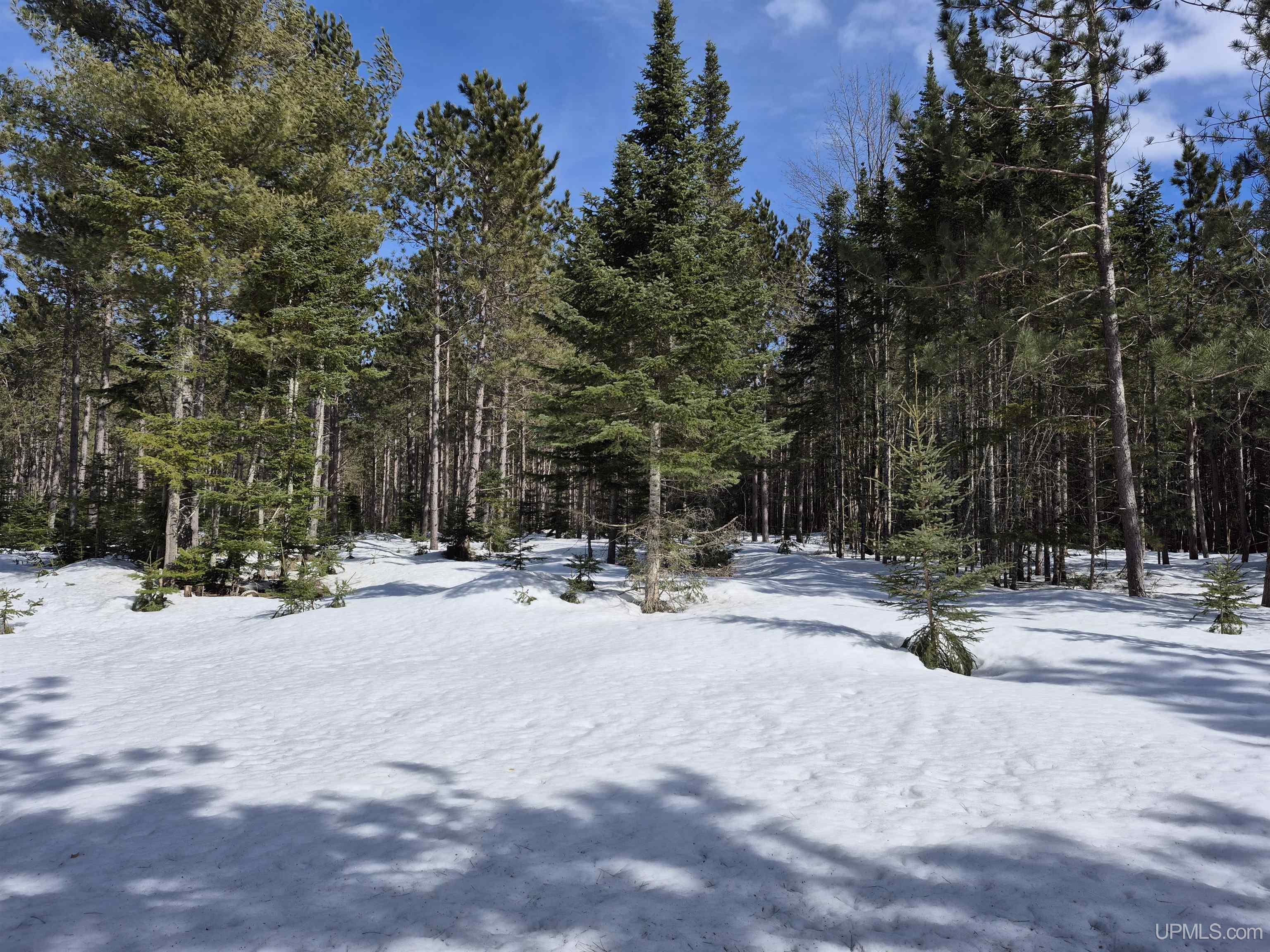 40-acres Off Flodin Road Manistique, MI 49854 - Photo 10 of 23
