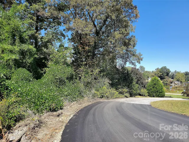a view of a yard with a tree
