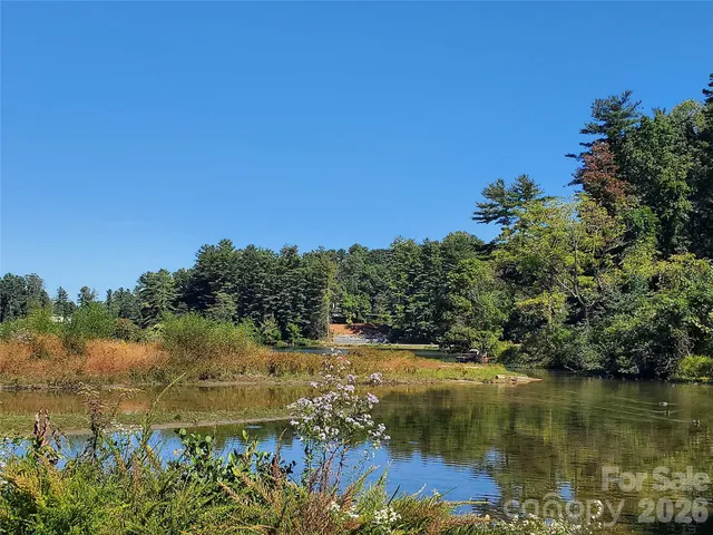 a view of a lake with houses in the background