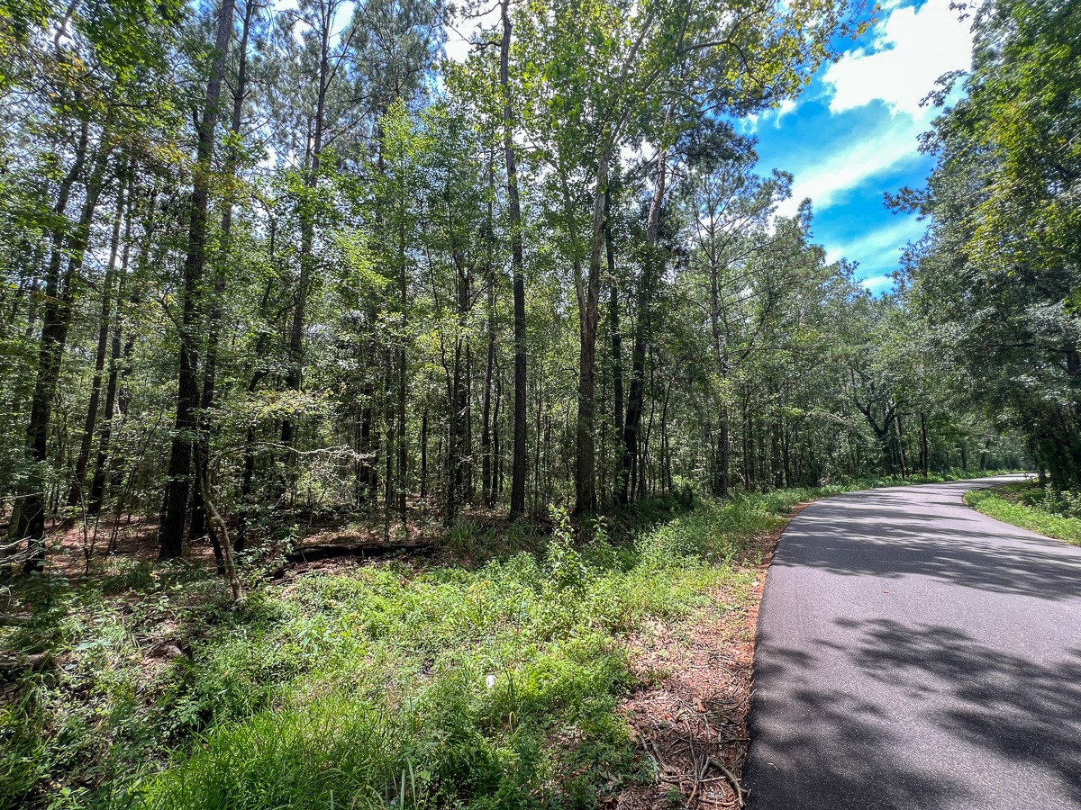 2 County Road 821 Buna, TX 77612 - Photo 6 of 15