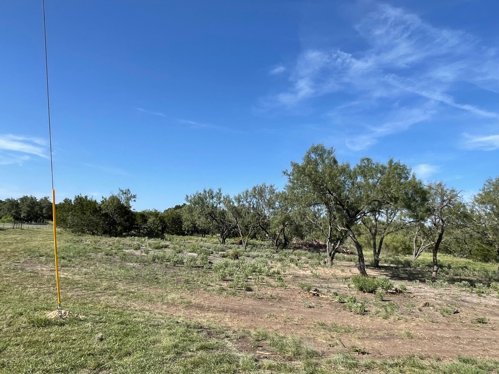 1412 South Fm 1174 Road Bertram, TX 78605 - Photo 12 of 23 a view of a field with trees in background