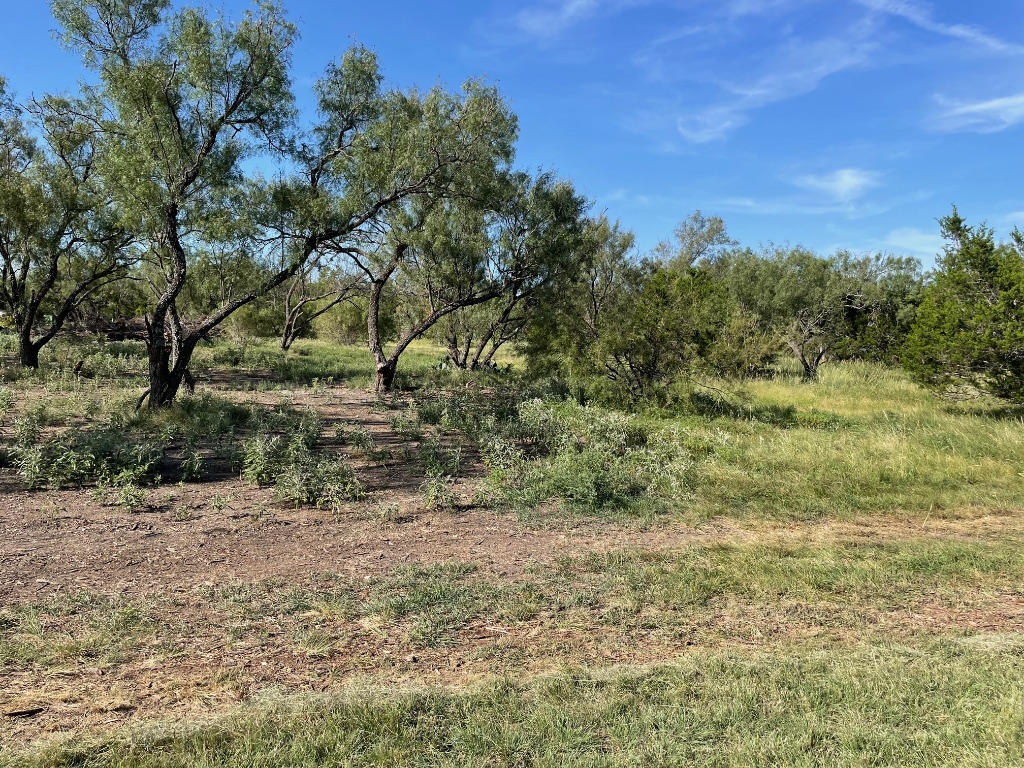 1412 South Fm 1174 Road Bertram, TX 78605 - Photo 14 of 23 a view of a yard with a tree