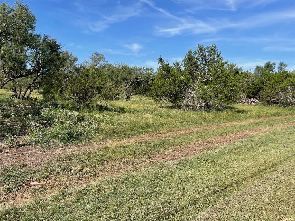 1412 South Fm 1174 Road Bertram, TX 78605 - Photo 15 of 23 a view of a field with trees in the background