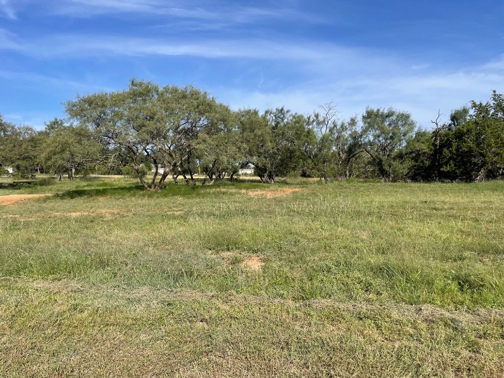1412 South Fm 1174 Road Bertram, TX 78605 - Photo 16 of 23 a view of a field with an ocean