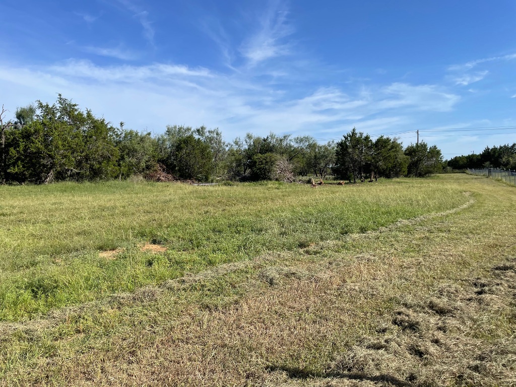 1412 South Fm 1174 Road Bertram, TX 78605 - Photo 17 of 23 a view of field with trees in background