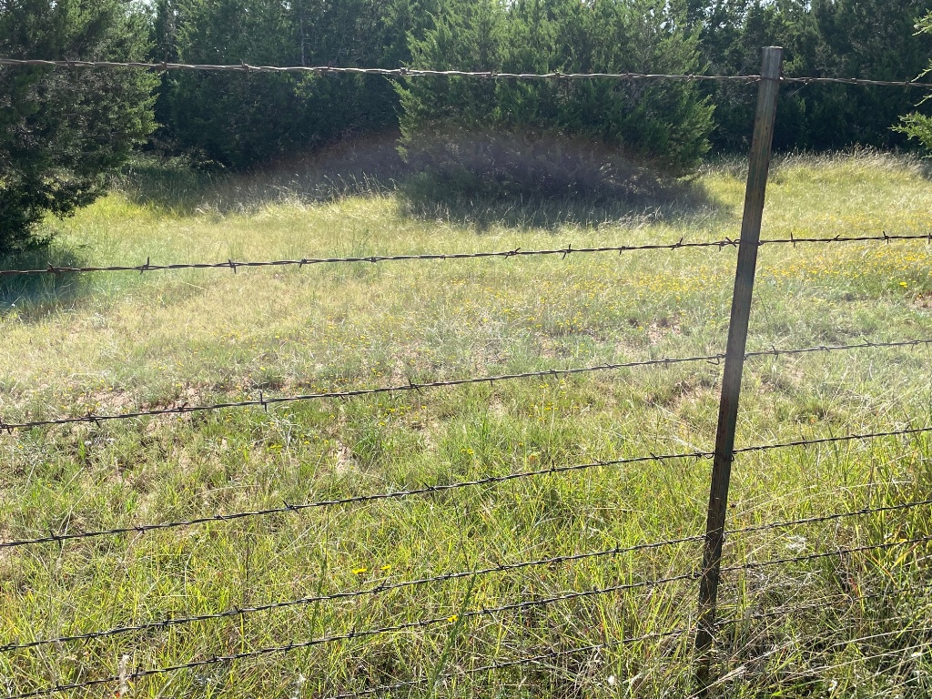 1412 South Fm 1174 Road Bertram, TX 78605 - Photo 7 of 23 a bathroom with a shower
