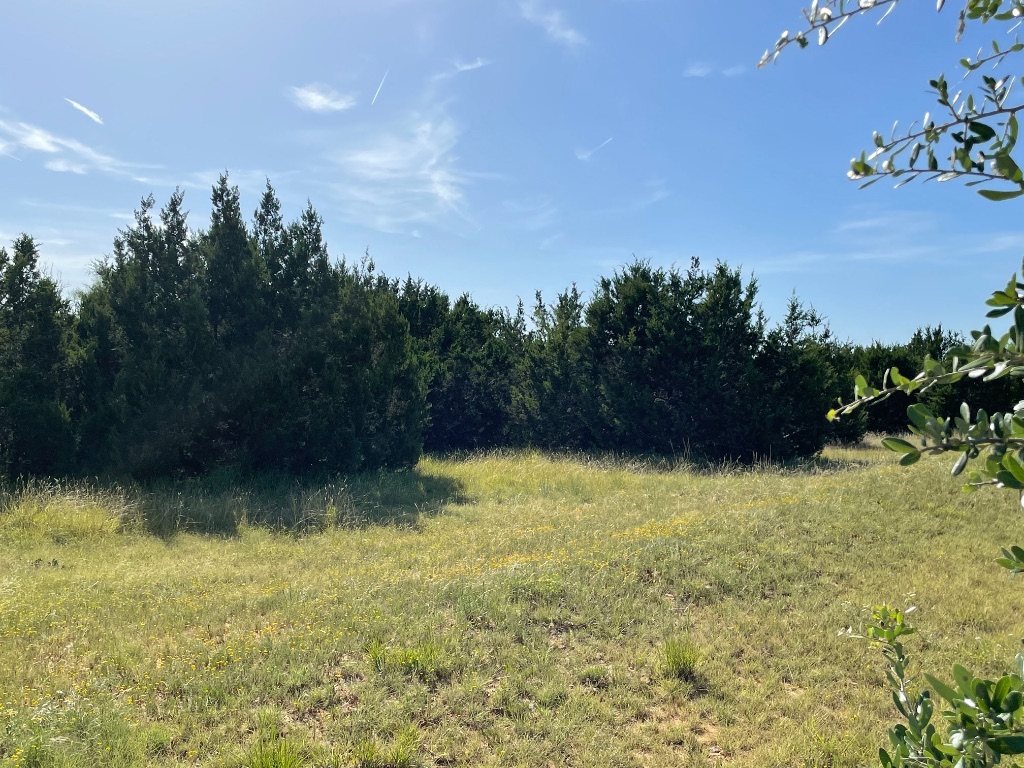 1412 South Fm 1174 Road Bertram, TX 78605 - Photo 8 of 23 a view of a lake view