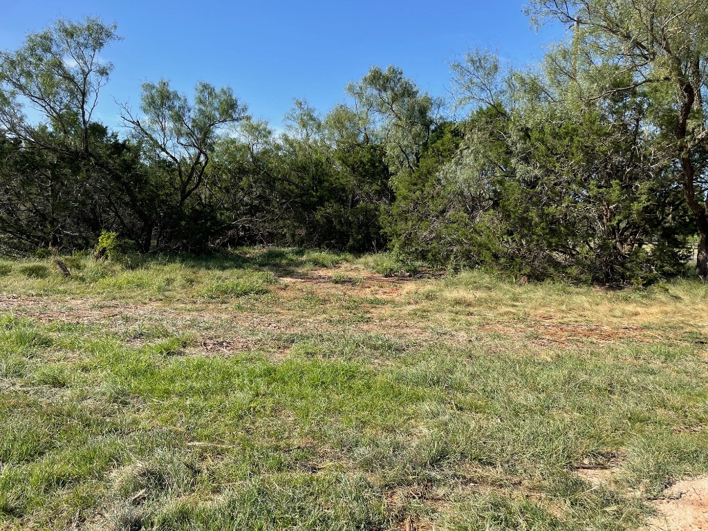 1412 South Fm 1174 Road Bertram, TX 78605 - Photo 10 of 23 a view of a yard with a tree