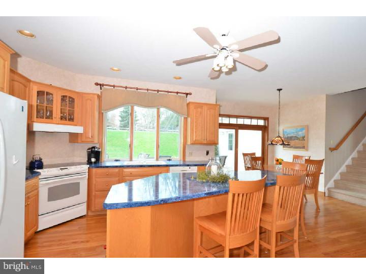 382 North Buck Road Downingtown, PA 19335 - Photo 9 of 25 Gallery Image 9