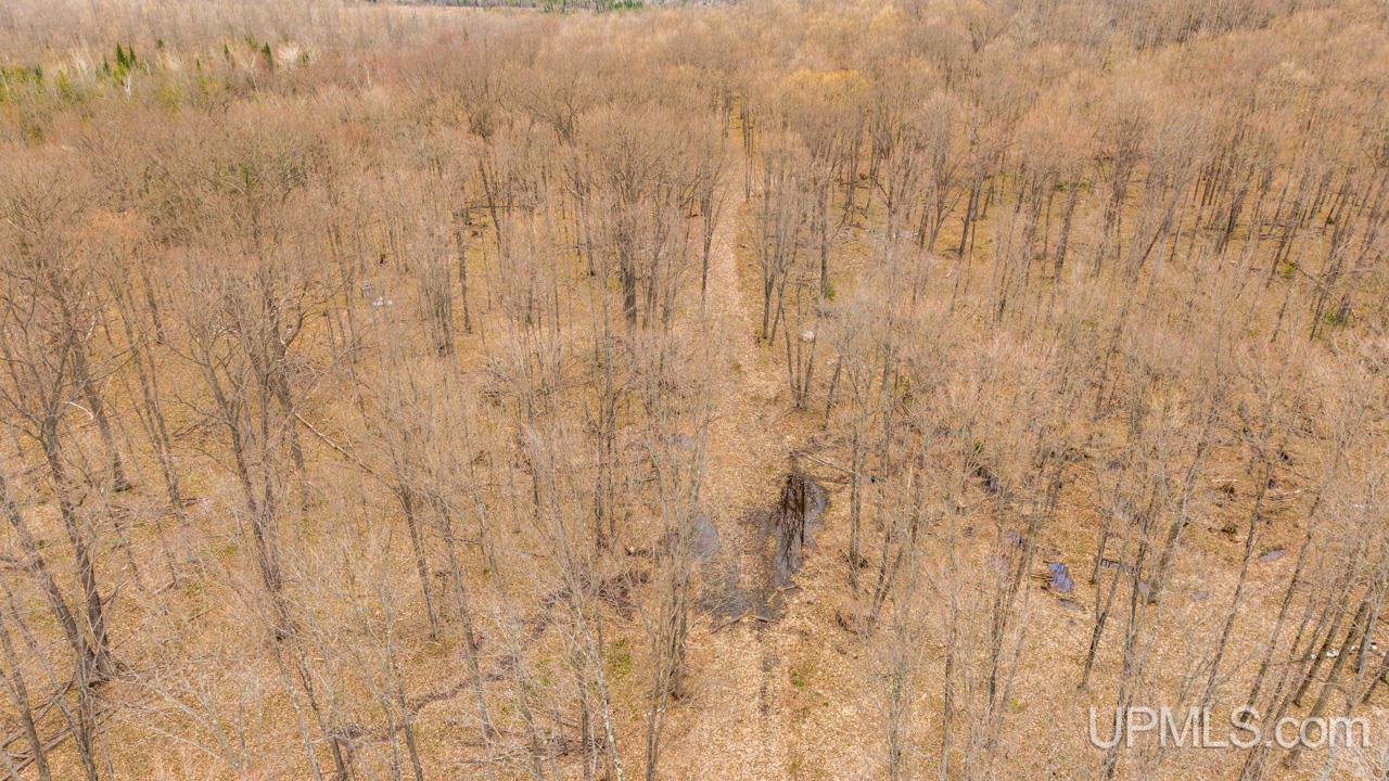 Tbd Hupp Road Vulcan, MI 49892 - Photo 6 of 12