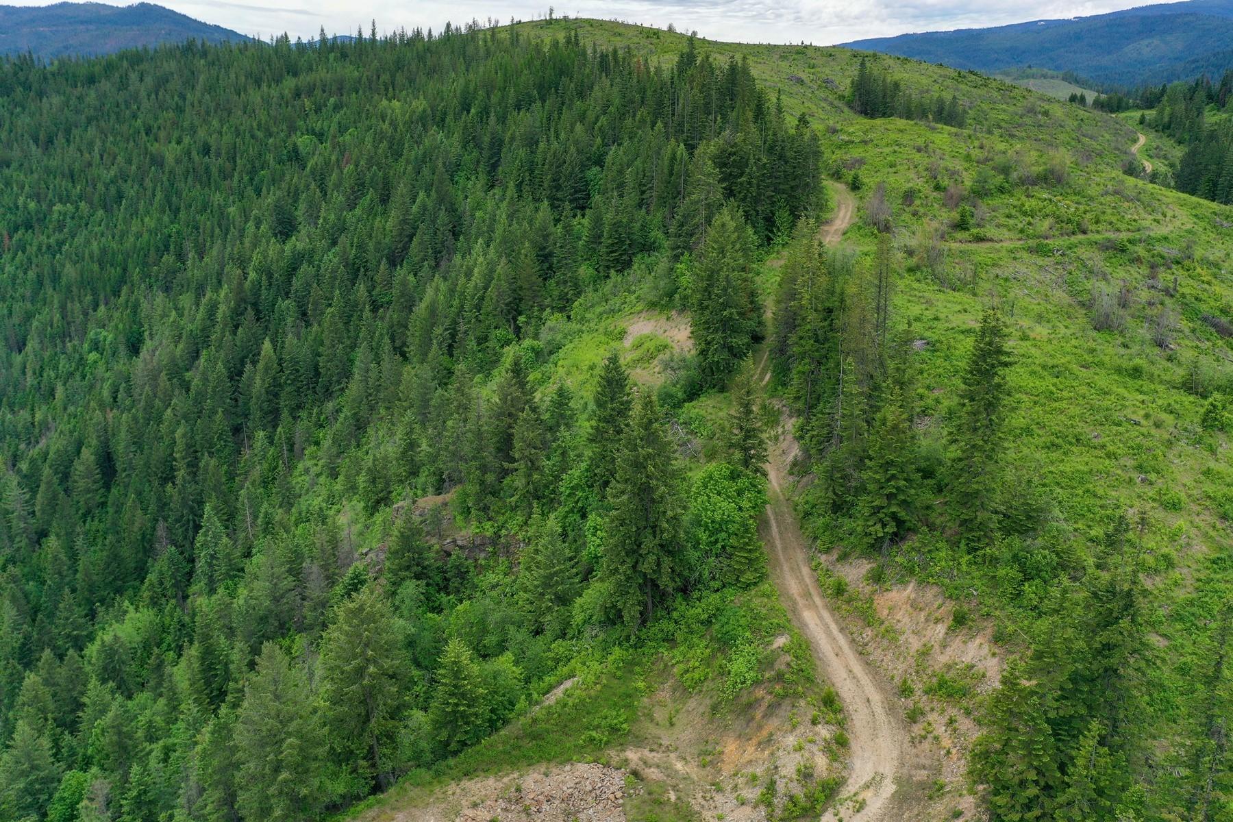 Nka Nka Coeur D'alene River Road Kingston, ID 83839 - Photo 21 of 30 Steep Mountain Terrain