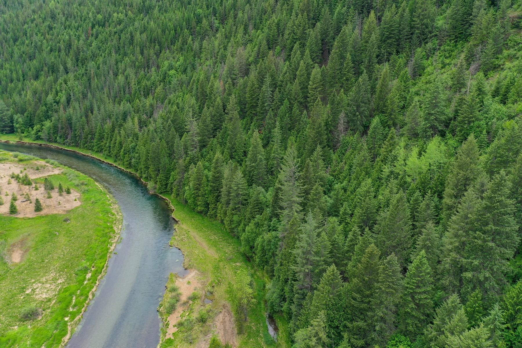 Nka Nka Coeur D'alene River Road Kingston, ID 83839 - Photo 23 of 30 East side of property