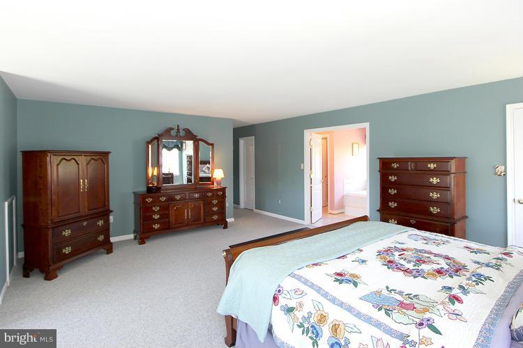 14207 Autumn Gold Road Boyds, MD 20841 - Photo 21 of 30 Bedroom (Master)