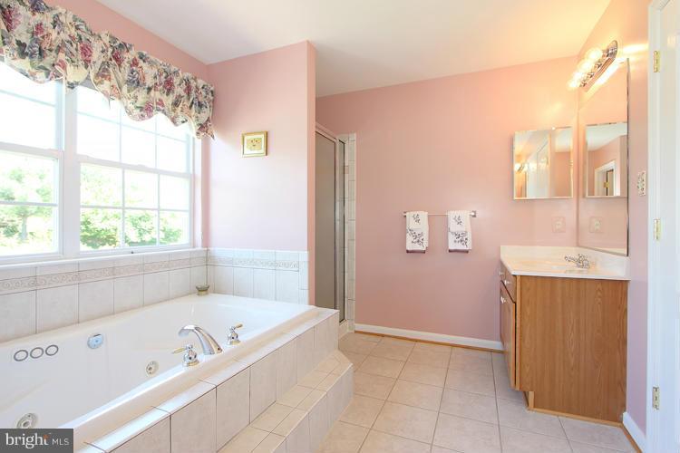 14207 Autumn Gold Road Boyds, MD 20841 - Photo 22 of 30 Bath (Master)