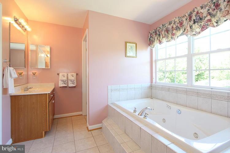 14207 Autumn Gold Road Boyds, MD 20841 - Photo 23 of 30 Bath (Master)