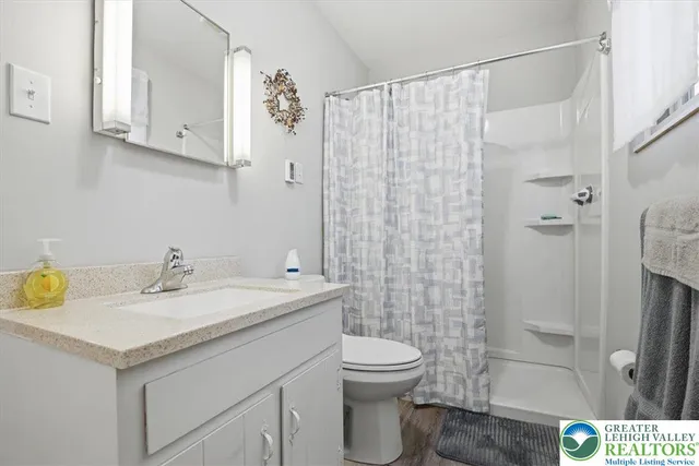 a bathroom with a sink a toilet and shower