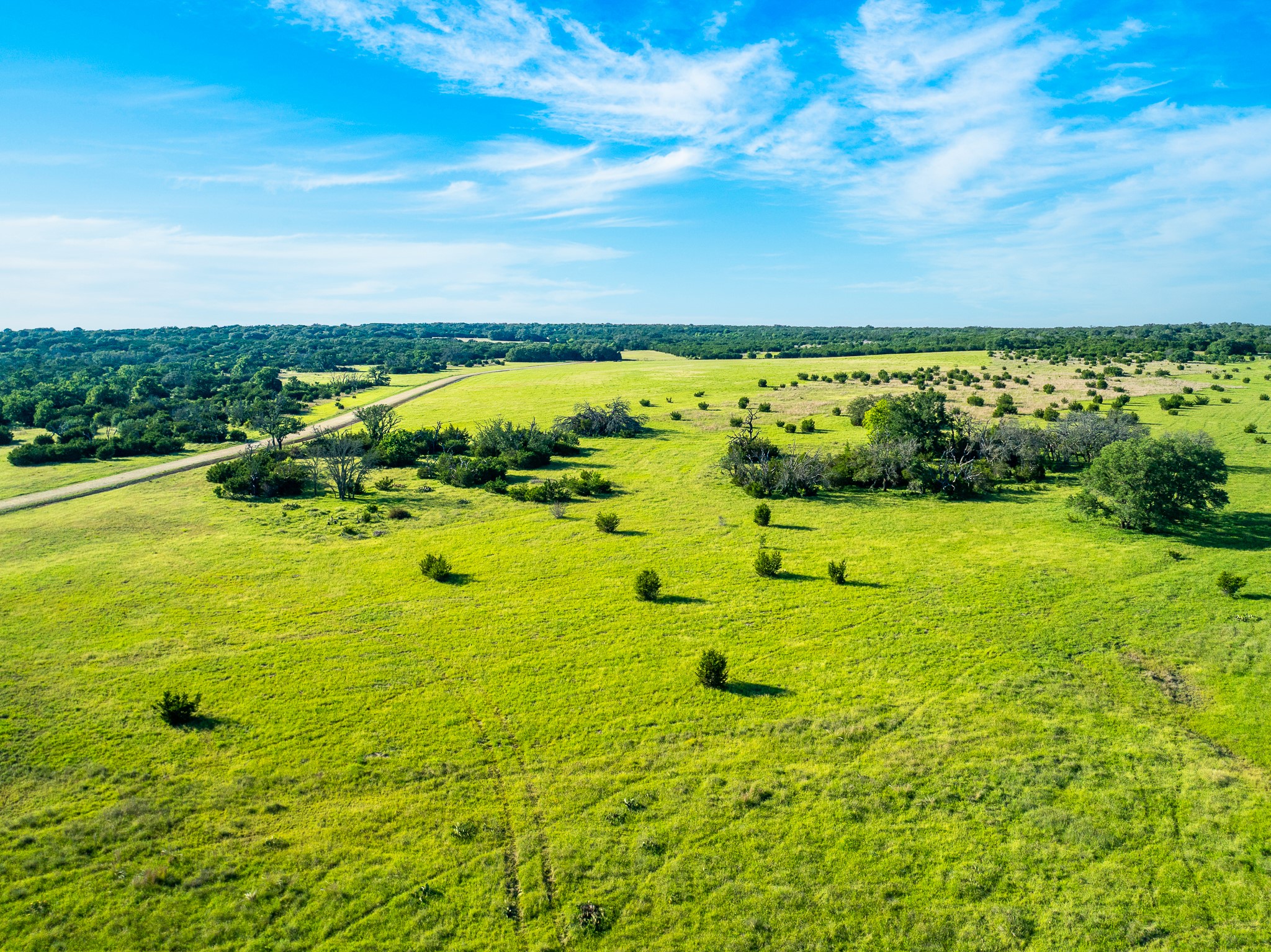 32 Feild Ranch Road Burnet, TX 78611 - Photo 25 of 40 Vast green fields stretch under an open sky, offering abundant space for equestrian pursuits.