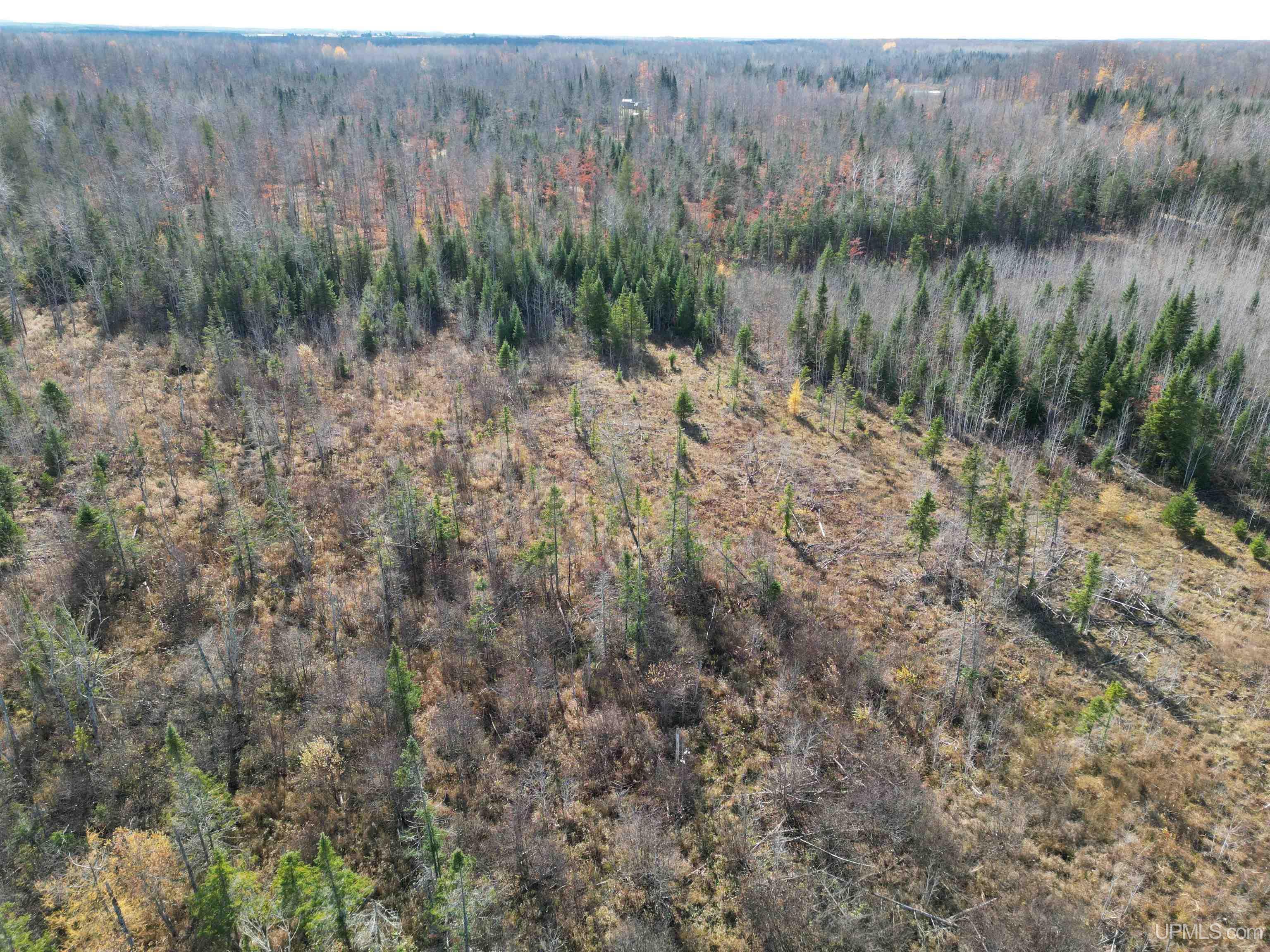 27.5 Rd 28 Acres Trail Gladstone, MI 49837 - Photo 4 of 24