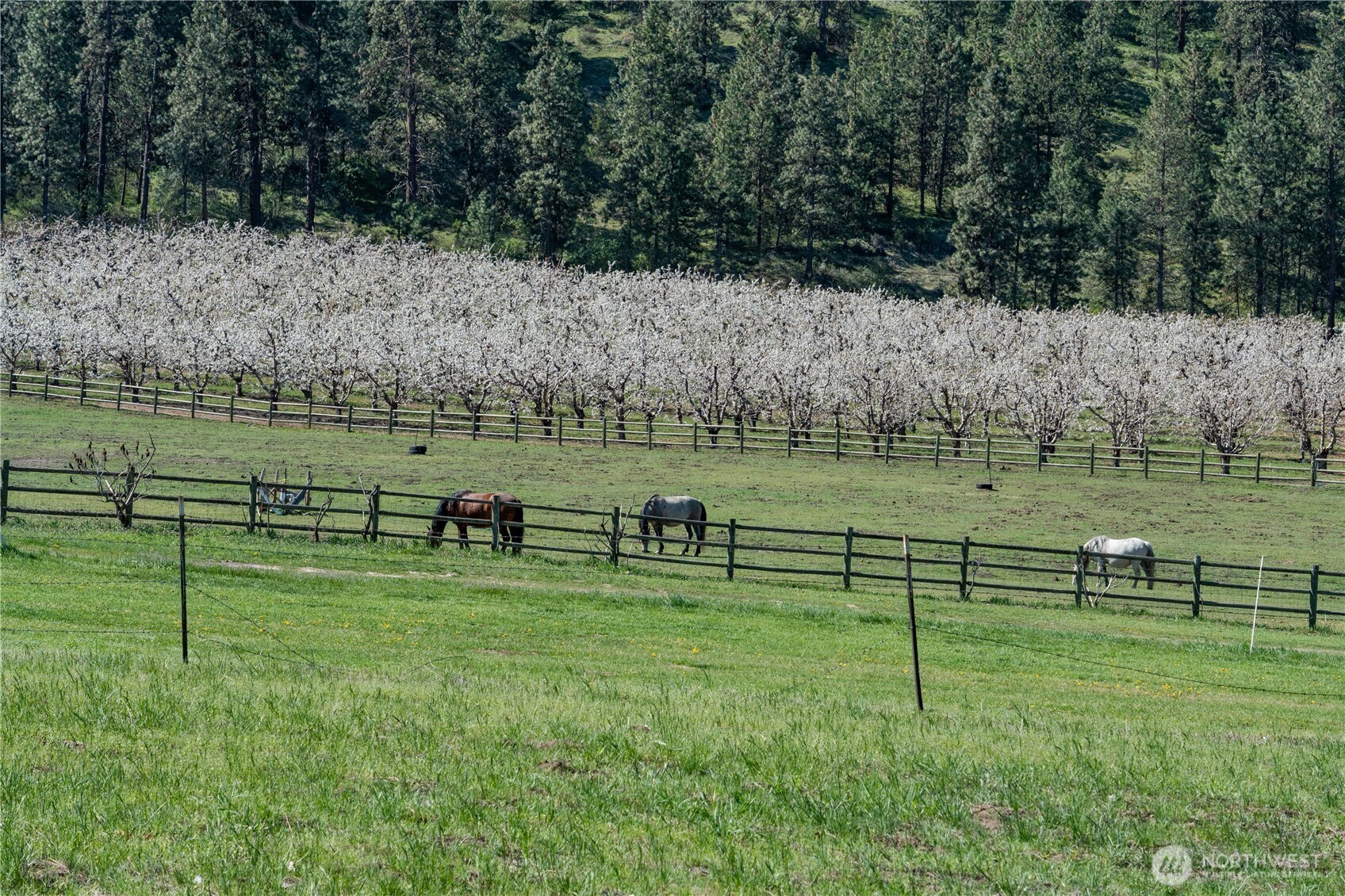 712 Moonlit Lane Wenatchee, WA 98801 - Photo 34 of 40