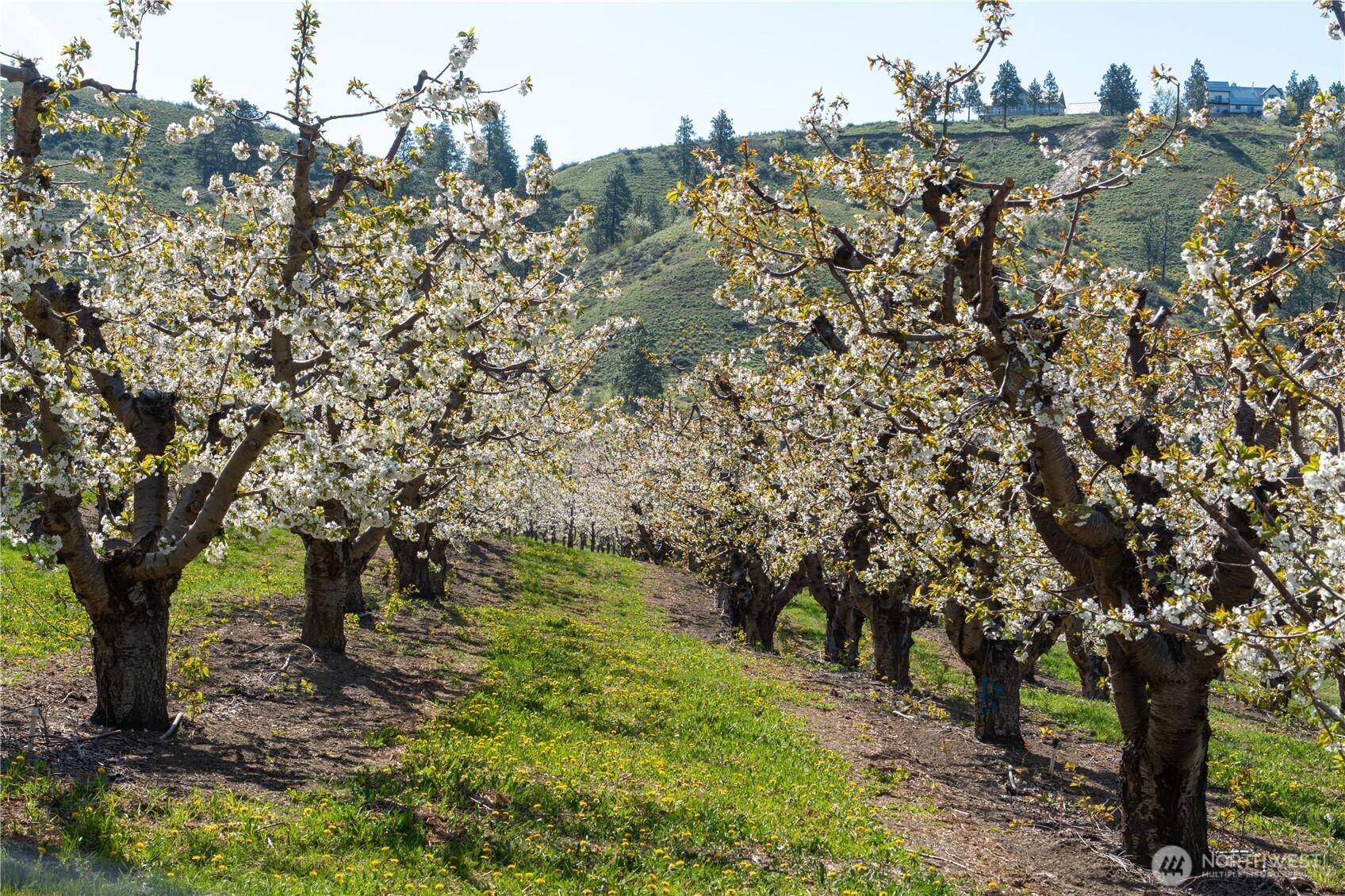 712 Moonlit Lane Wenatchee, WA 98801 - Photo 38 of 40