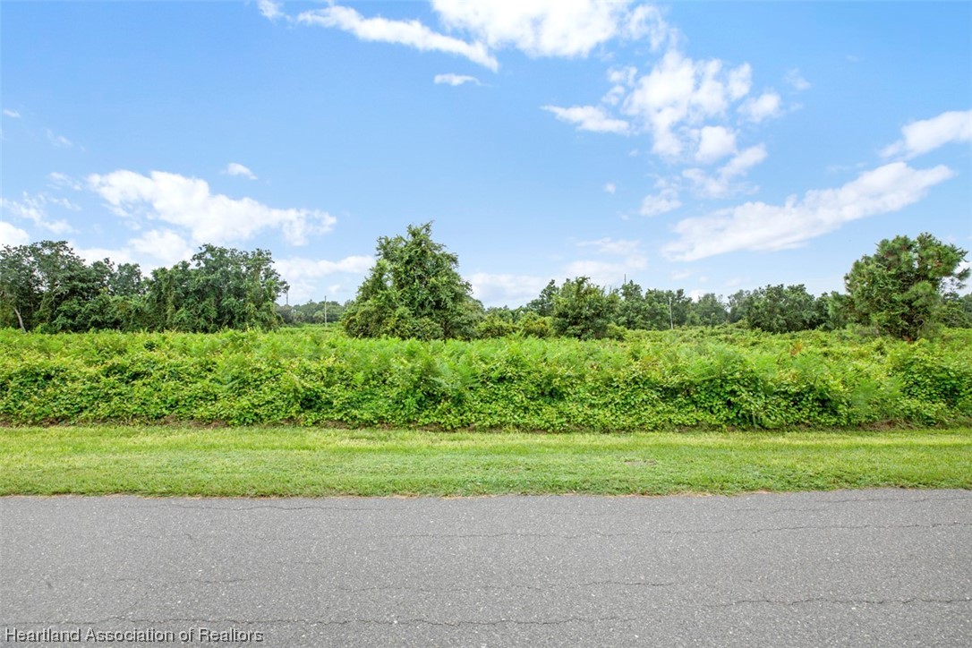 129 Mango Road Northeast Lake Placid, FL 33852 - Photo 6 of 7 Gallery Image 6