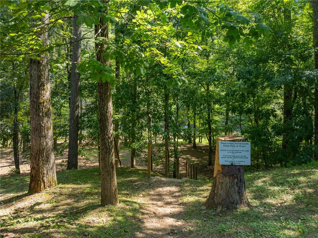 895 Newman Court Ranger, GA 30734 - Photo 26 of 31
