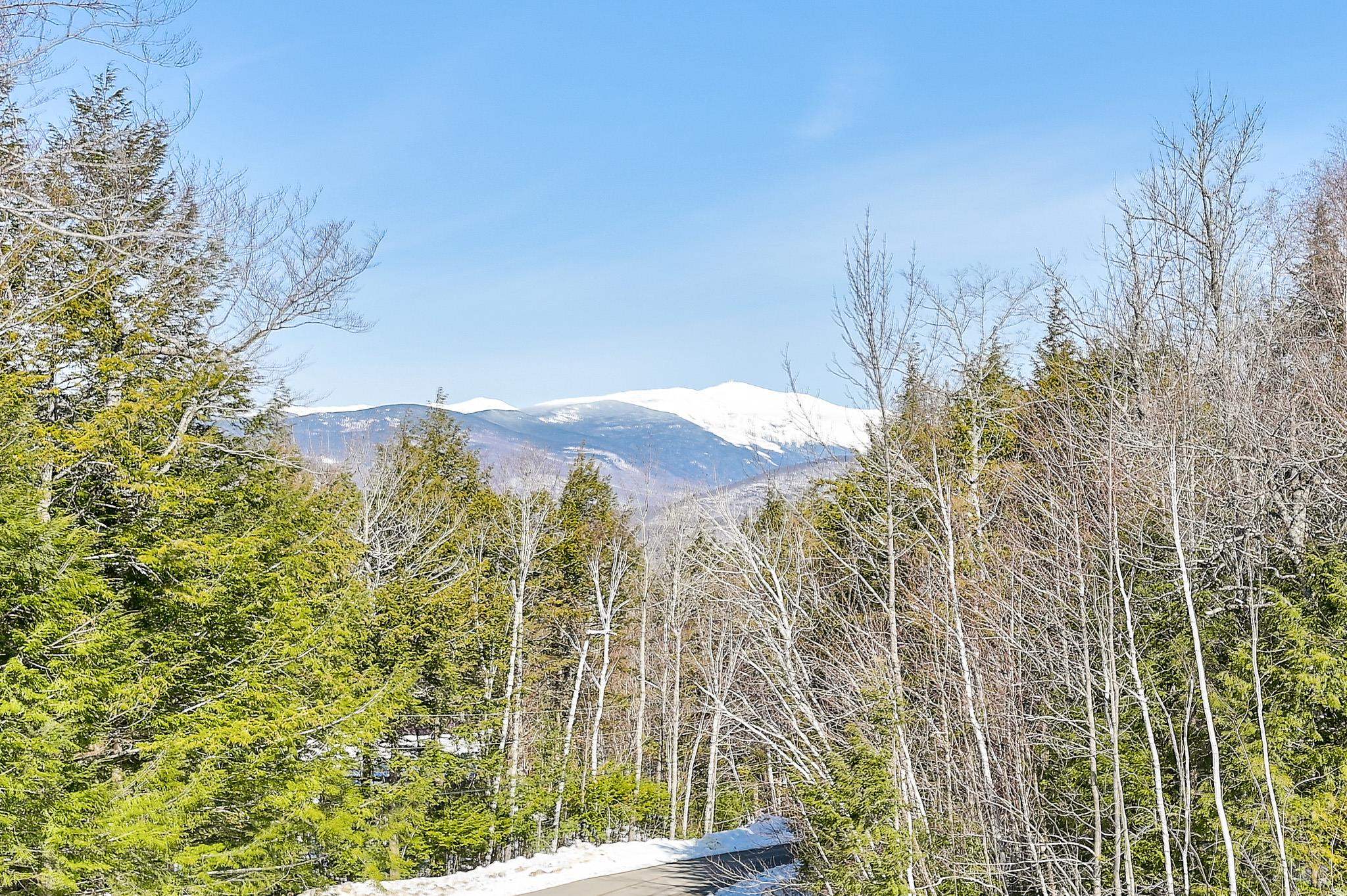 19 Munchen Place Intervale, NH 03845 - Photo 3 of 37