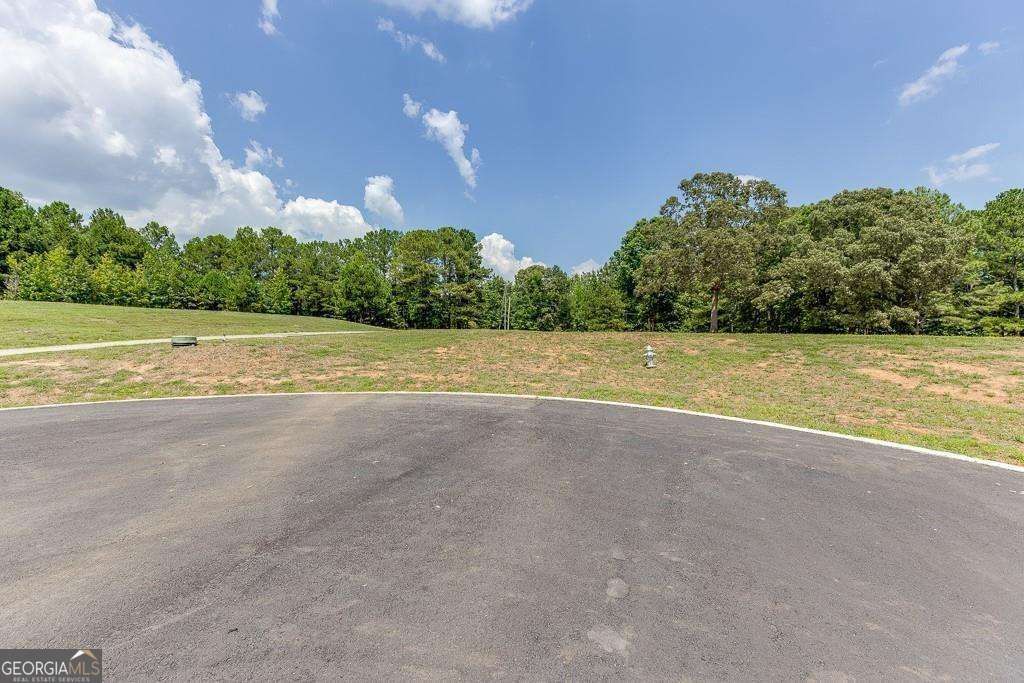 5755 Kennedy Road Buford, GA 30024 - Photo 2 of 23 a view of a big yard with palm trees