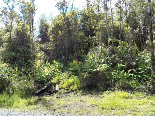 29 Makoa Road Mountain View, HI 96771 - Photo 2 of 6 Gallery Image 2