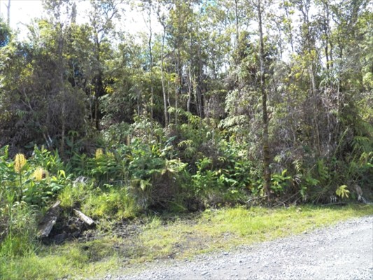 29 Makoa Road Mountain View, HI 96771 - Photo 3 of 6 Gallery Image 3