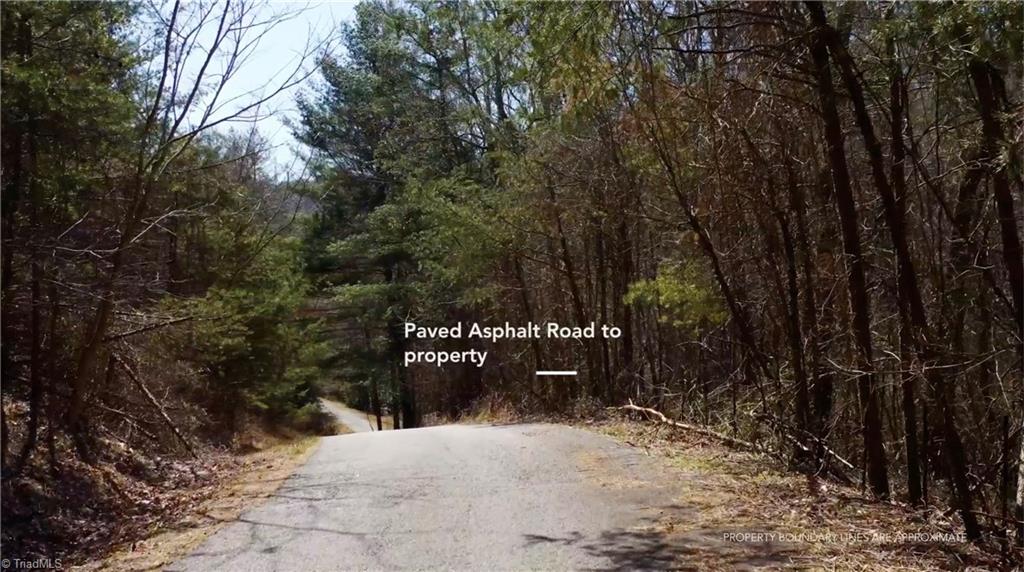 0 Ridge Road Ferguson, NC 28624 - Photo 7 of 15