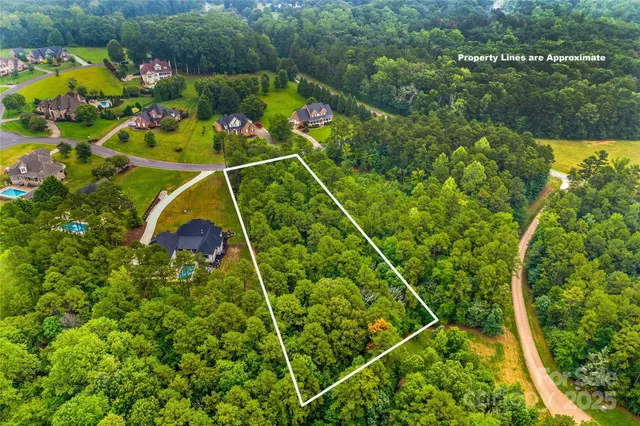 a view of a yard with wooden floor