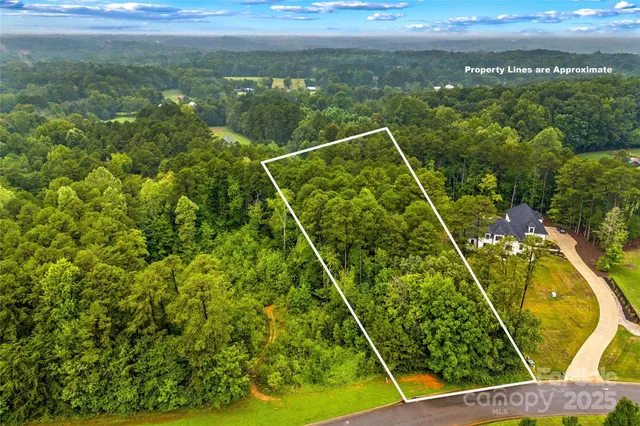 a view of a yard with swimming pool