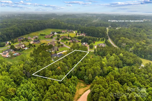 a view of a flower in a garden