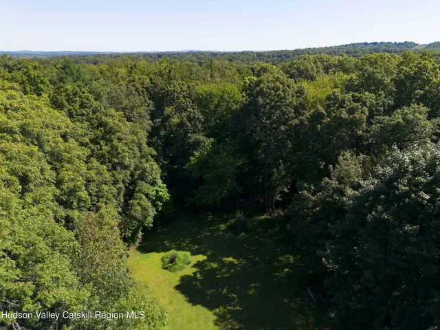 a view of a forest with a lake