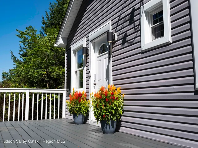 a potted plant sitting in front of a house