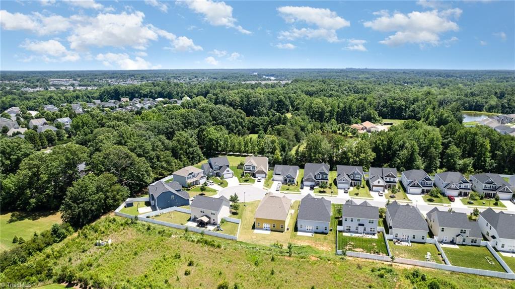 2209 Starfall Drive Colfax, NC 27235 - Photo 45 of 47